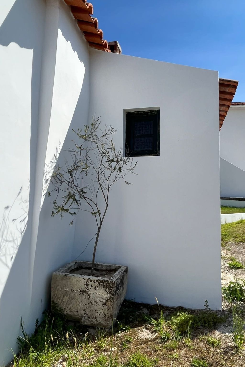Maison 5 chambres avec piscine près de Montemor-o-Velho - Photo 4