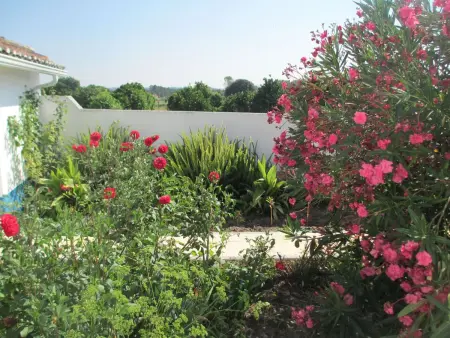 Villa de plain-pied avec piscine privée à Coimbrão - Photo 8
