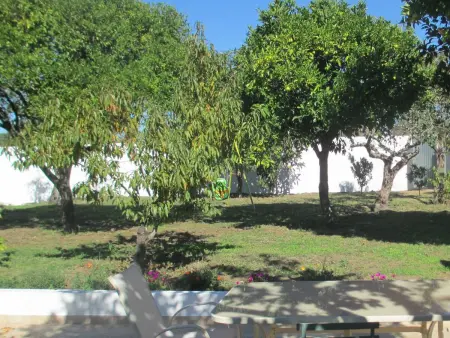 Villa de plain-pied avec piscine privée à Coimbrão - Photo 9
