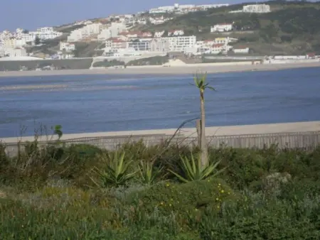 Maison 3 chambres avec piscine privée à Óbidos - Photo 14