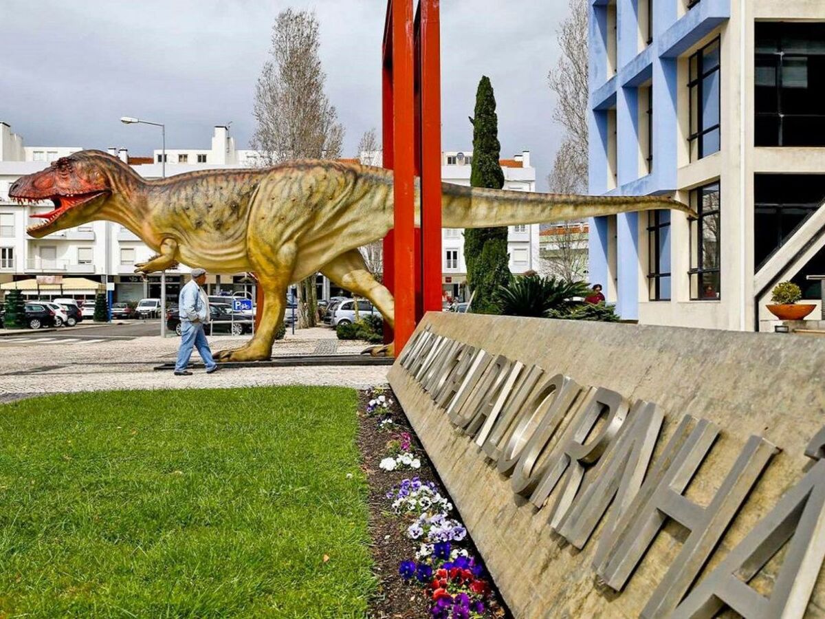 Appartement 6 pers. avec jardin privé à Lourinhã - Photo 46