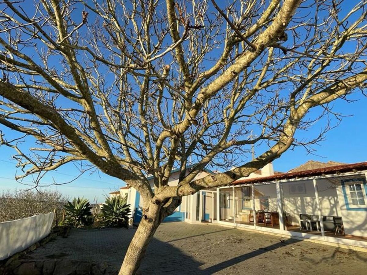 Maison 8 personnes avec terrasse et jardin à Atalaia - Photo 27