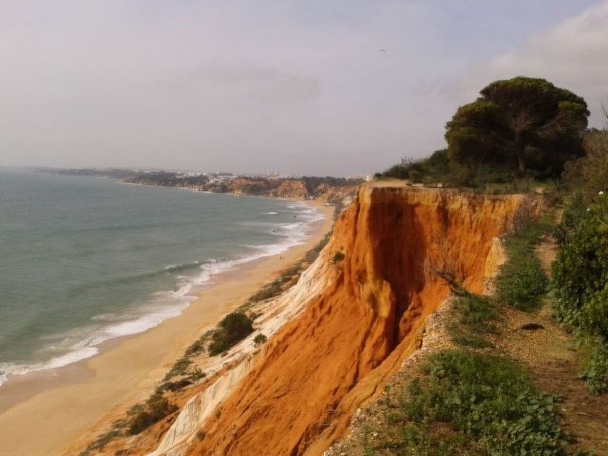 Appartement Pine Sun Park, 400 m de la plage - Photo 27