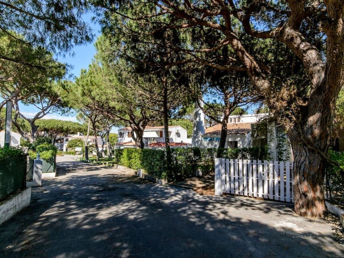 Appartement 1 chambre avec terrasse à Albufeira - Photo 20