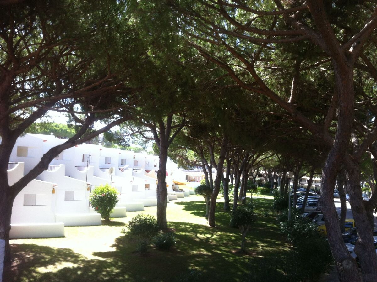 Appartement 1 chambre avec terrasse à Albufeira - Photo 23