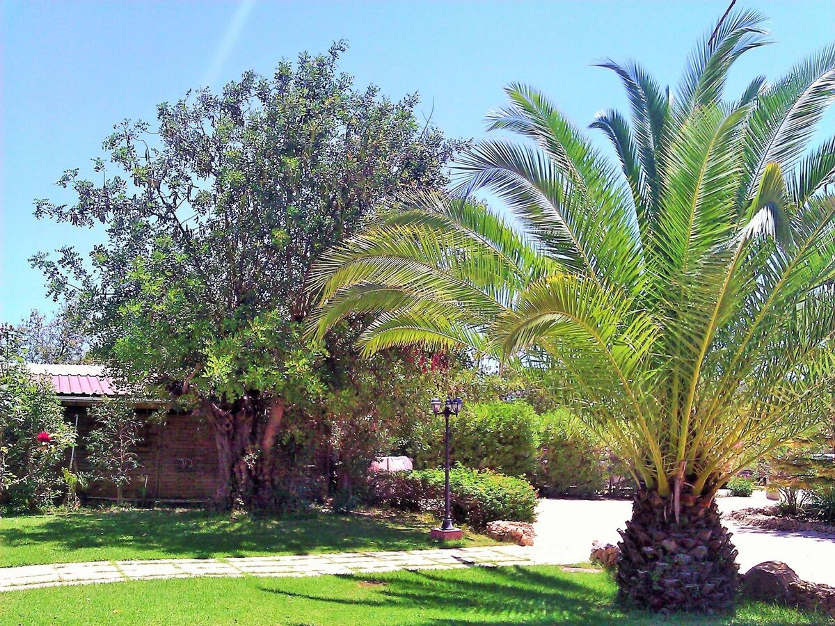 Quinta Casalinho - Maison 25 personnes, piscine privée - Photo 2
