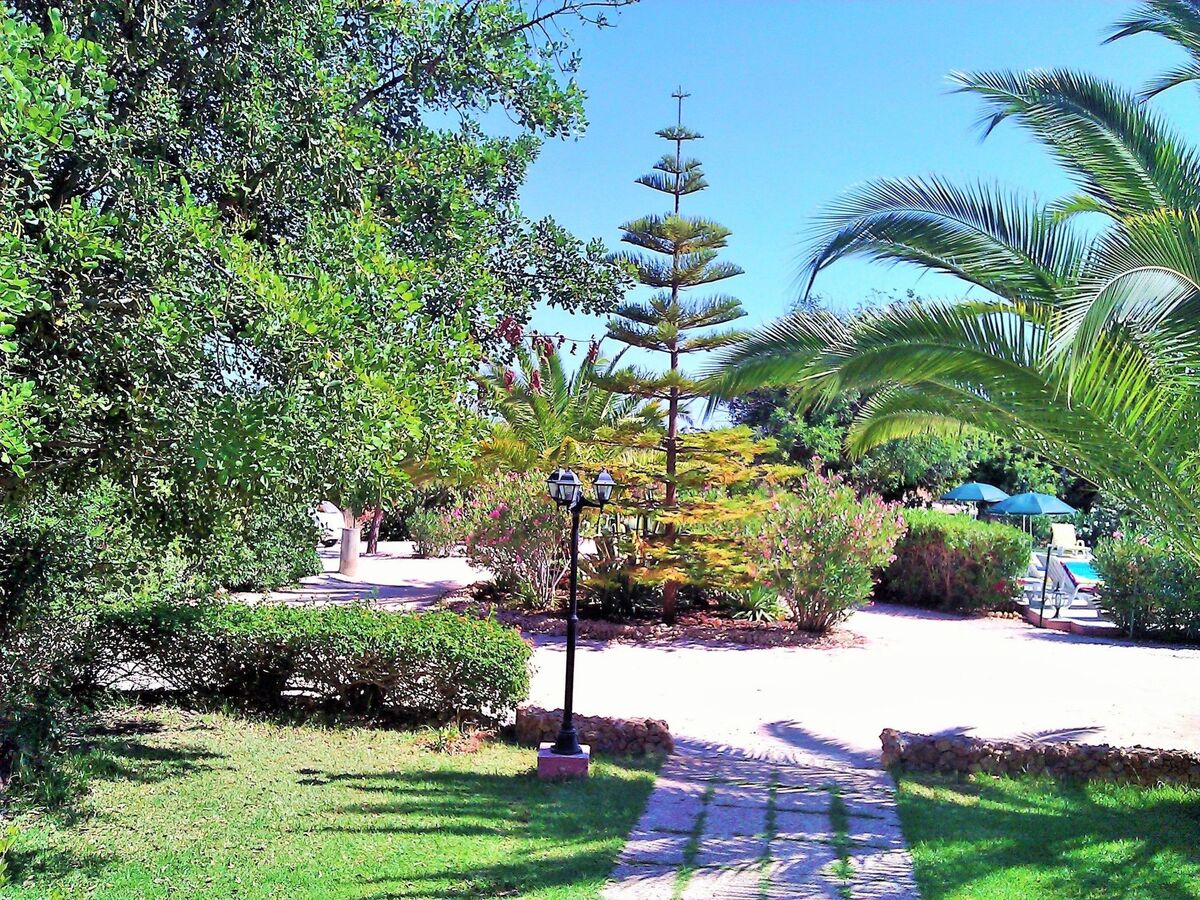 Quinta Casalinho - Maison 25 personnes, piscine privée - Photo 7