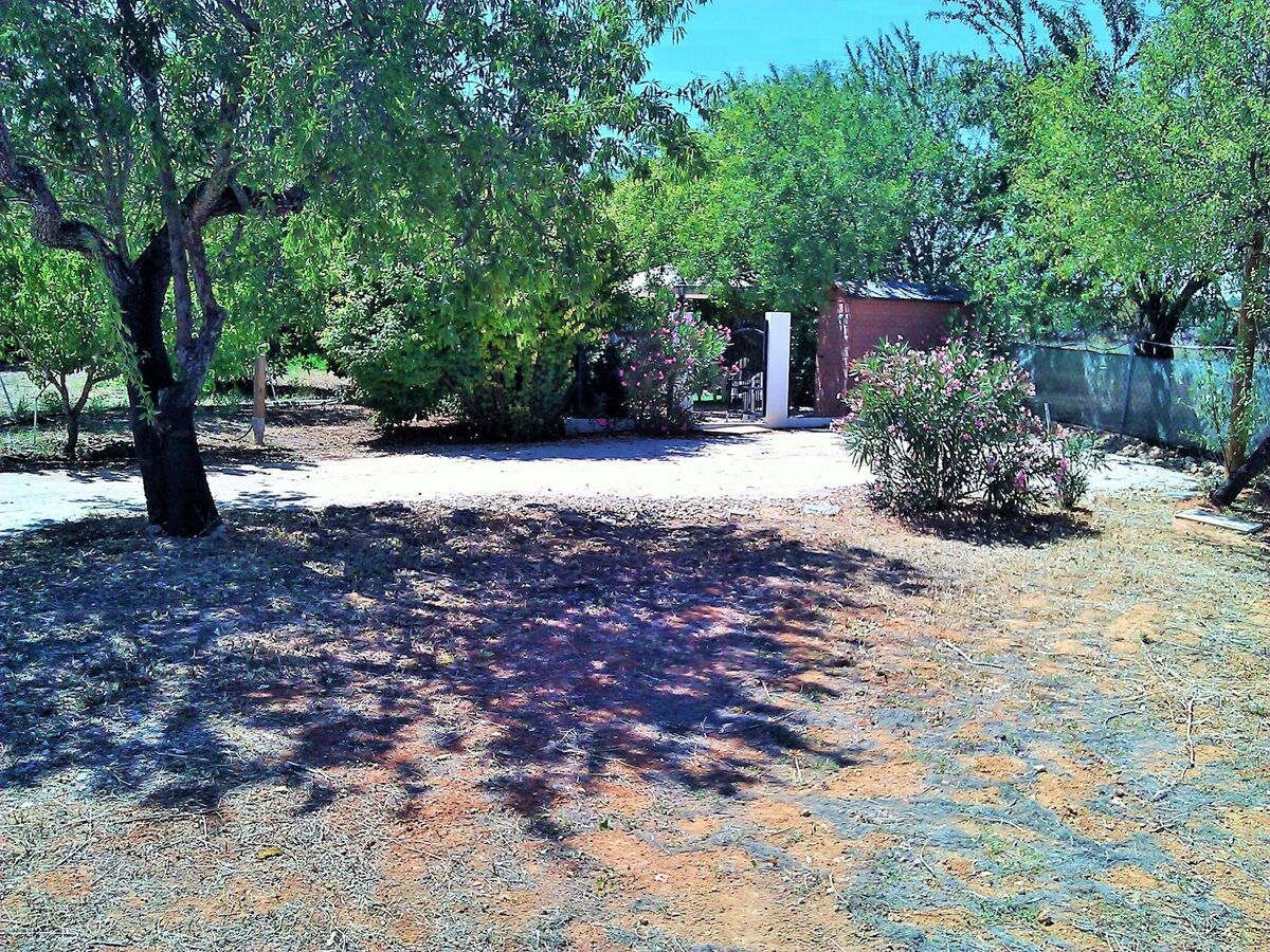 Quinta Casalinho - Maison 25 personnes, piscine privée - Photo 31