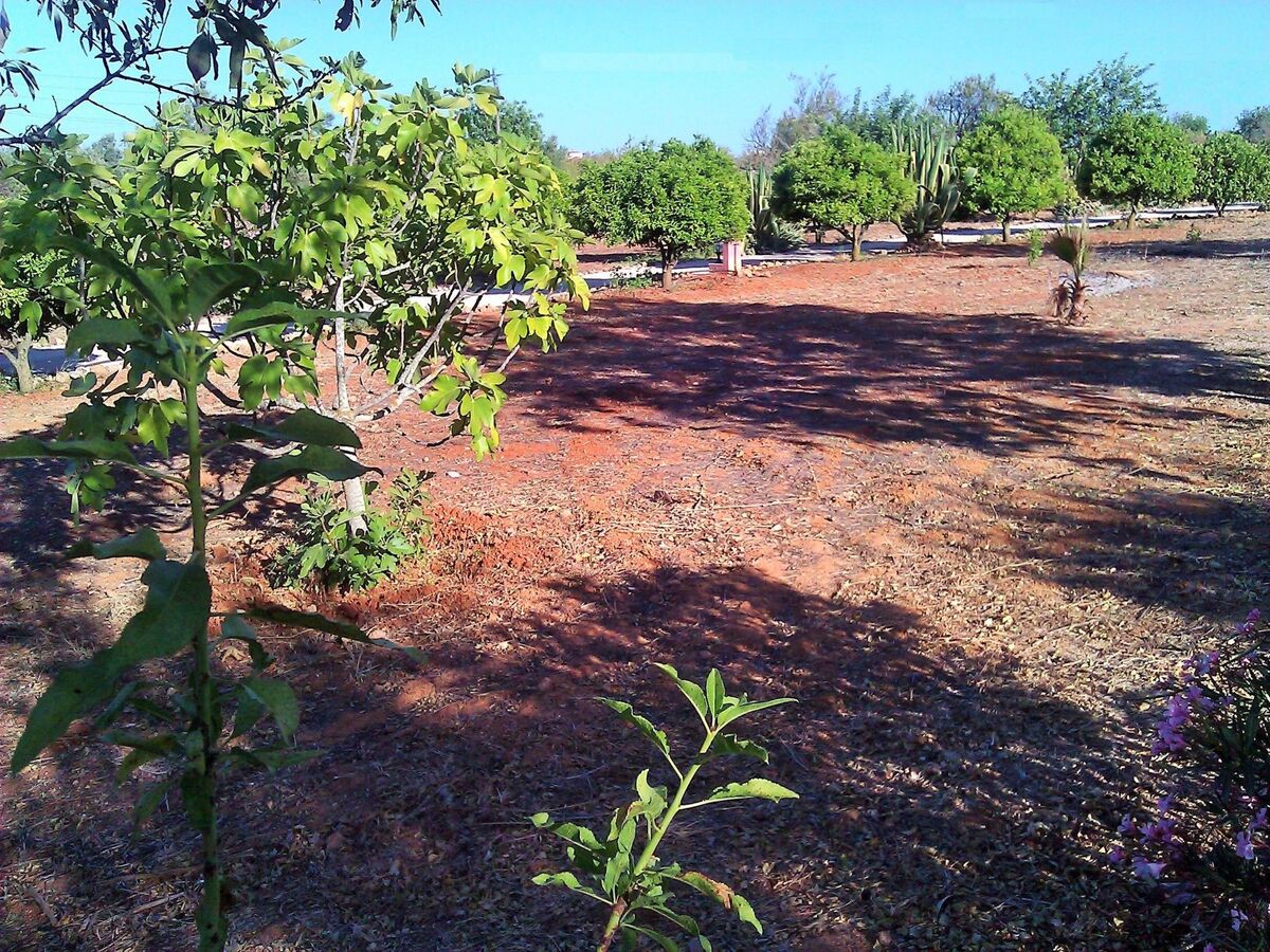 Quinta Casalinho - Maison 25 personnes, piscine privée - Photo 45