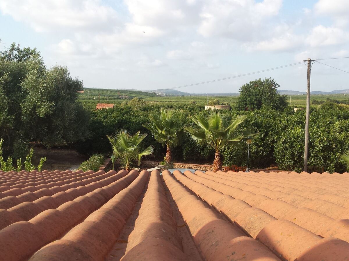 Casa do campo laranja – Maison Algarve 6 pers. - Photo 31