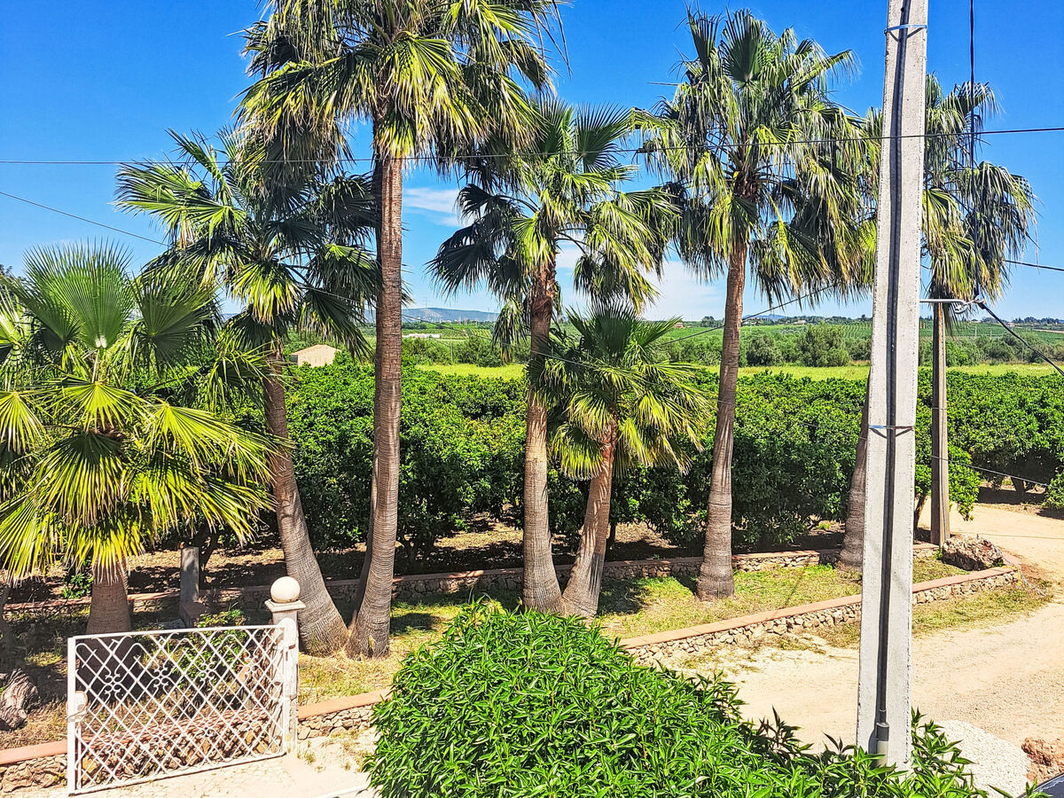 Casa do campo laranja – Maison Algarve 6 pers. - Photo 33