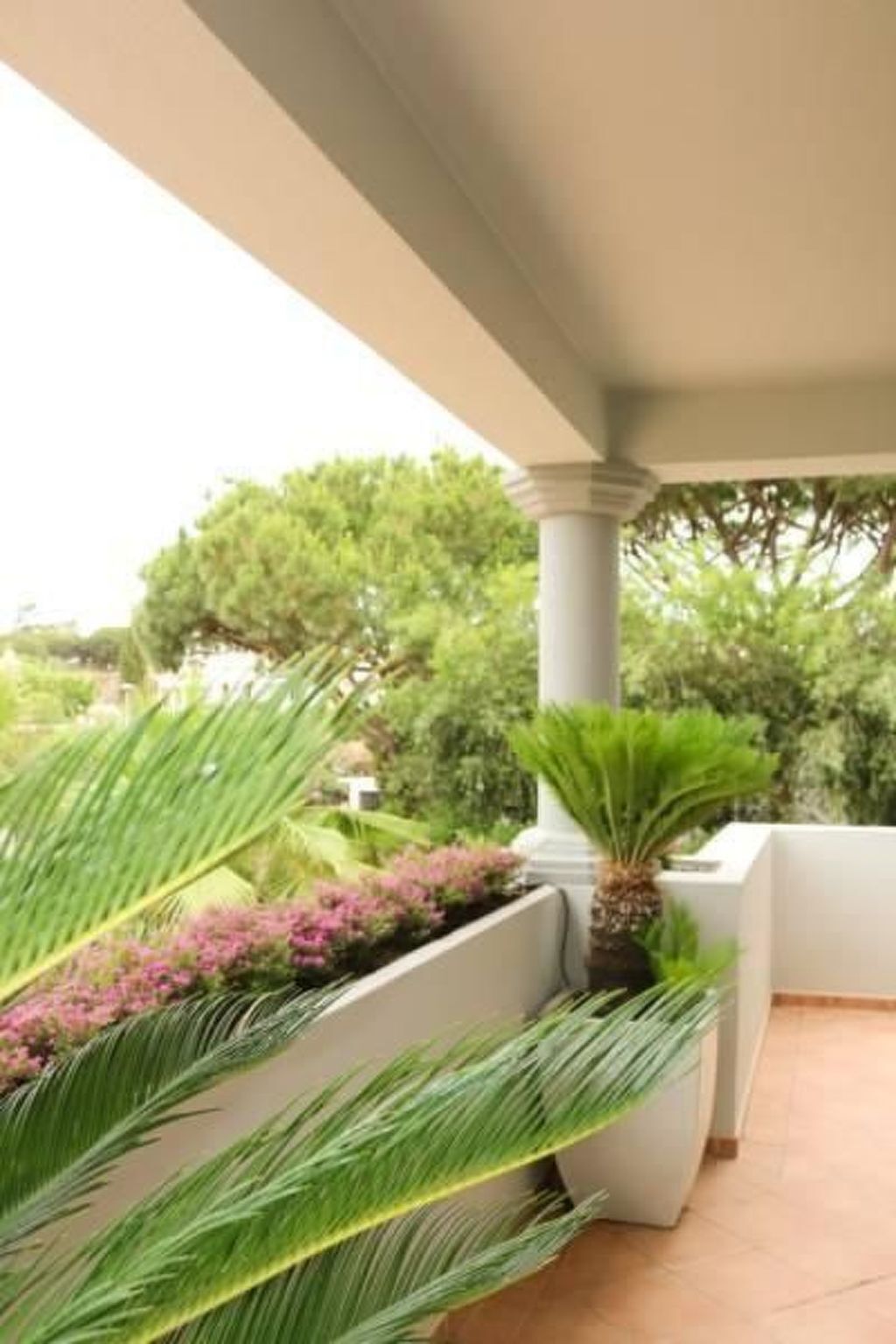Villa 4 chambres piscine privée à Almancil - Photo 37