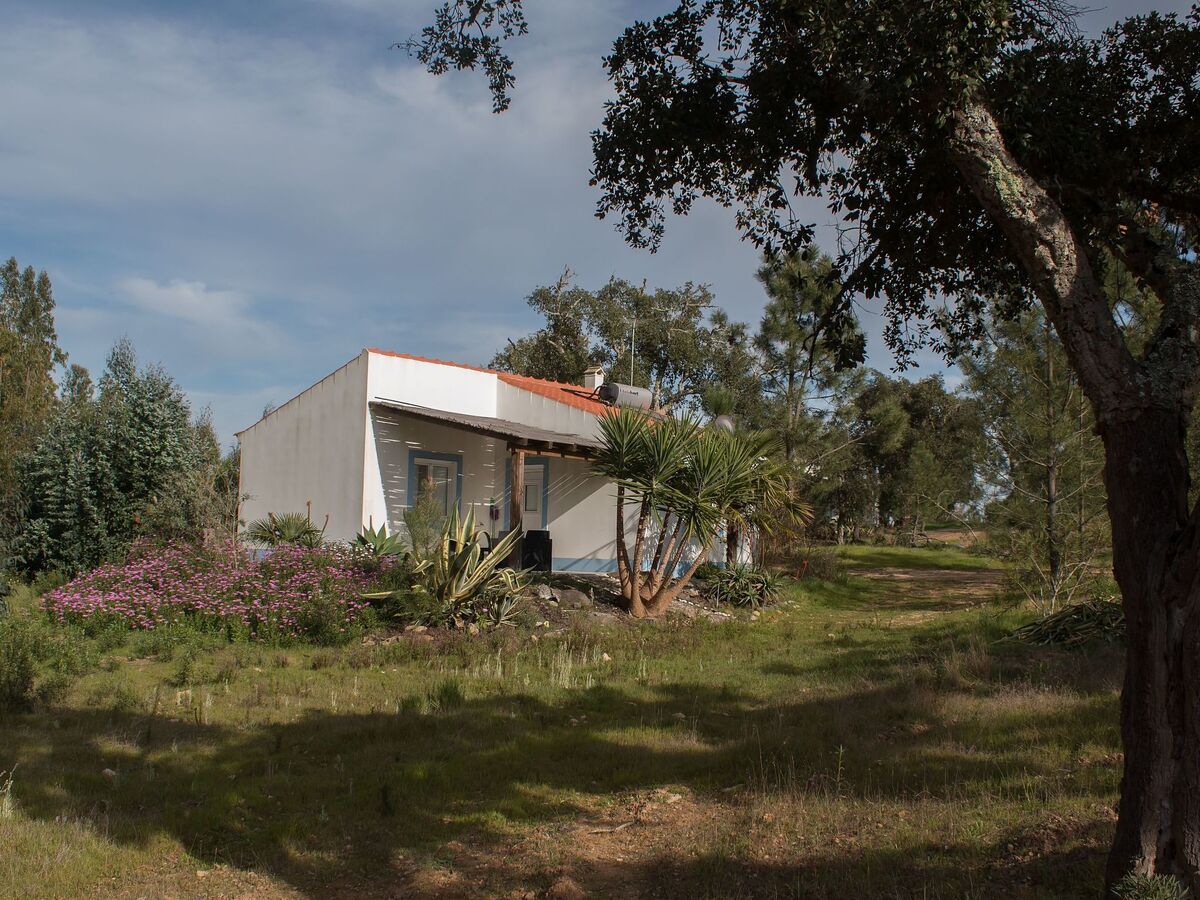 Casa Oliveira T1 - Maison éco à Santiago do Cacém - Photo 3