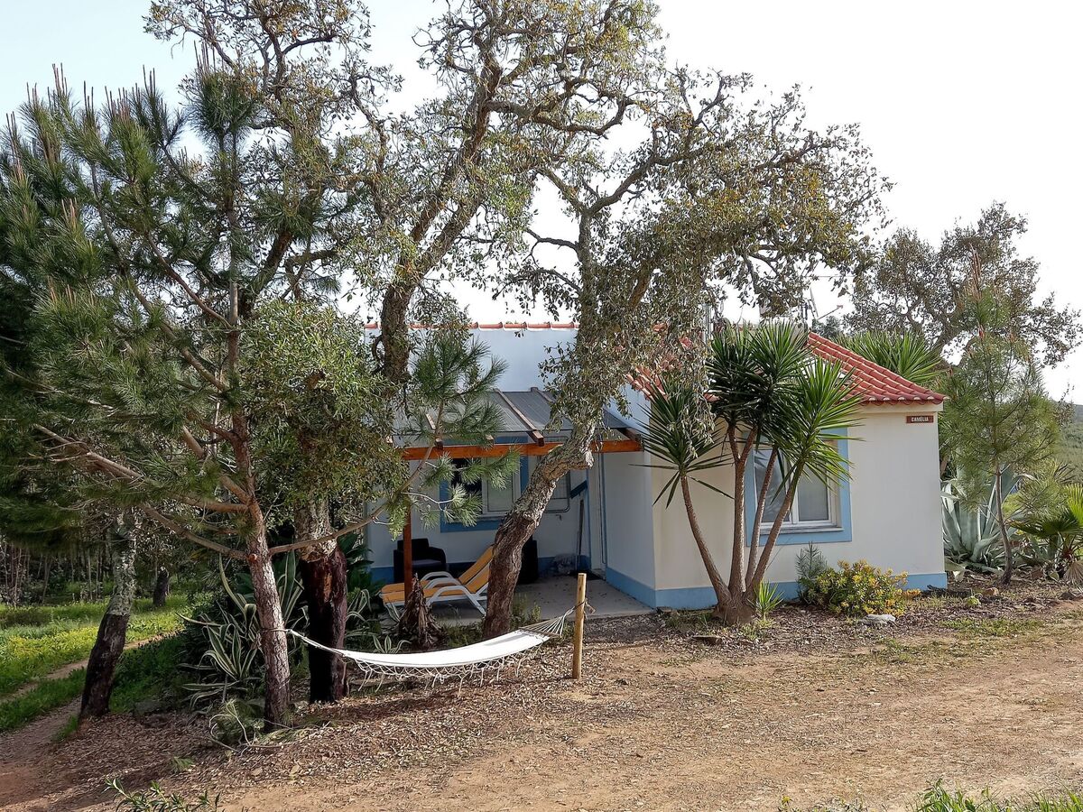 Casa Camelia, maison éco-responsable Santiago do Cacém - Photo 13