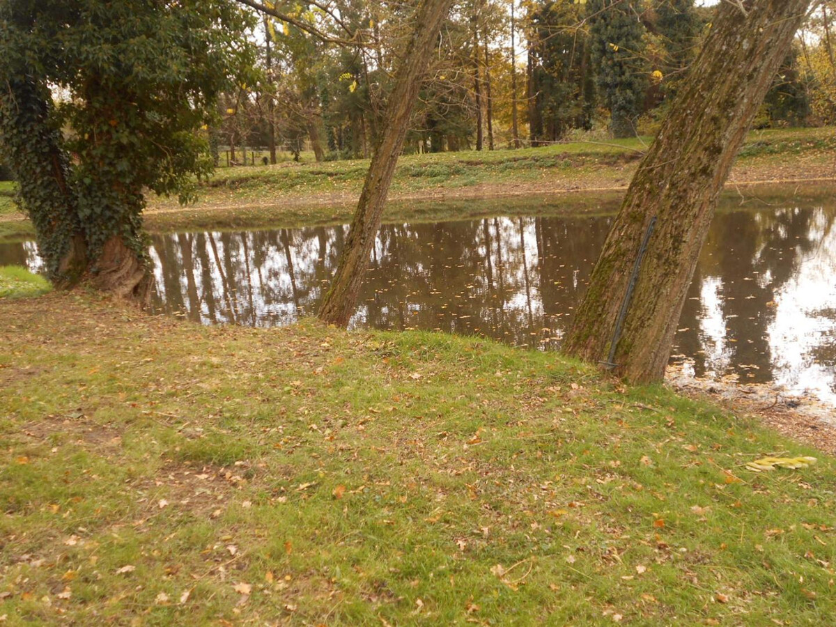 Gîte L'Ouche : spa, étang privatif et chevaux à Bézenet - Photo 5