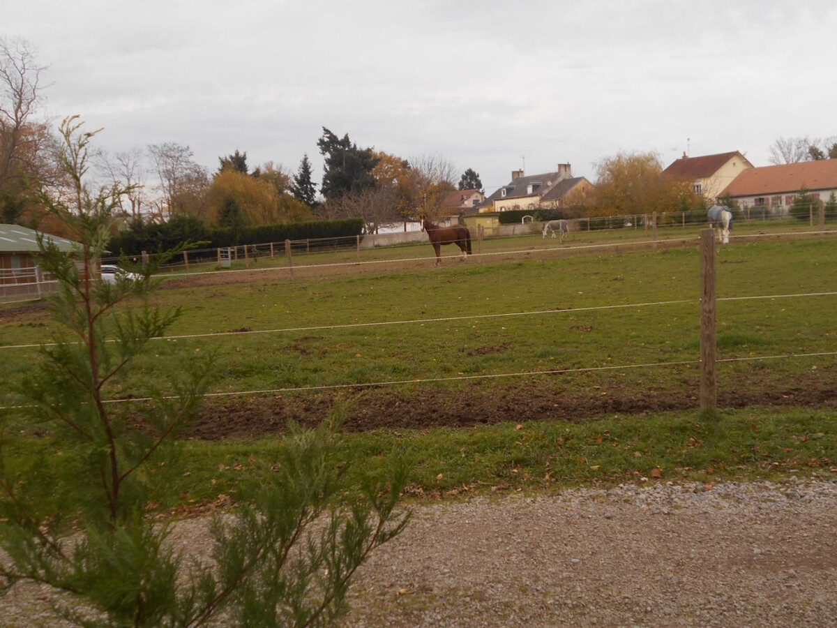 Gîte L'Ouche : spa, étang privatif et chevaux à Bézenet - Photo 25