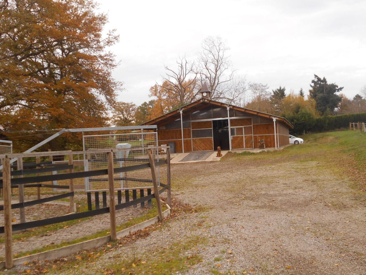 Gîte L'Ouche : spa, étang privatif et chevaux à Bézenet - Photo 26