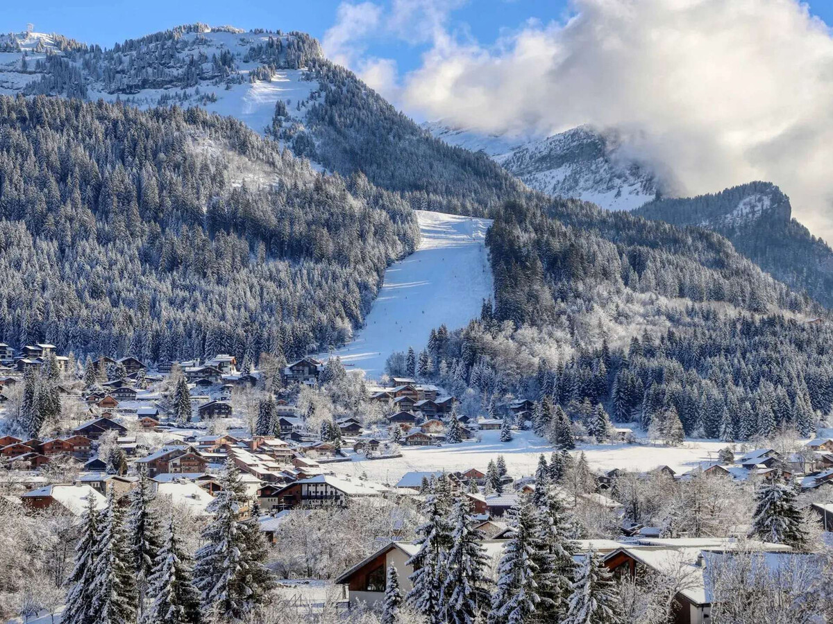 Appartement 3 pièces proche des pistes aux Carroz - Photo 9