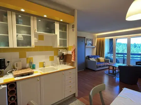 Location appartement à Villard de Lans, Charmant studio cabine sur les pistes à Villard-de-Lans