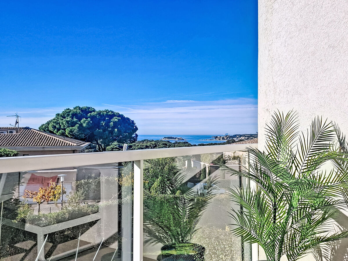 Les Terrasses d'Azur : Apt 2 pièces avec terrasse vue mer - Photo 8