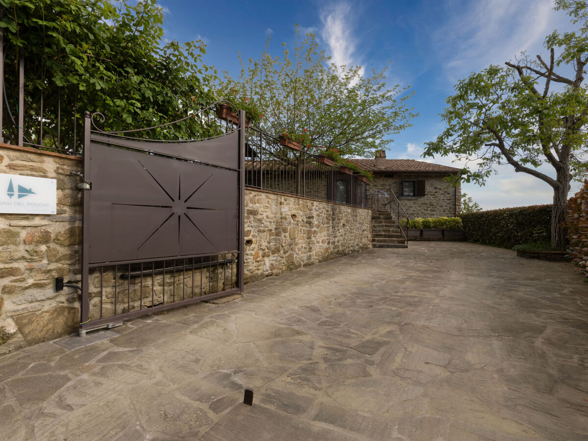 L'Oasi del Poggio – Maison 5 pers. avec piscine - Photo 41
