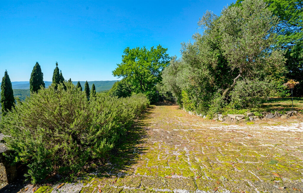 Maison 12 personnes avec piscine à Massa Marittima - Photo 50