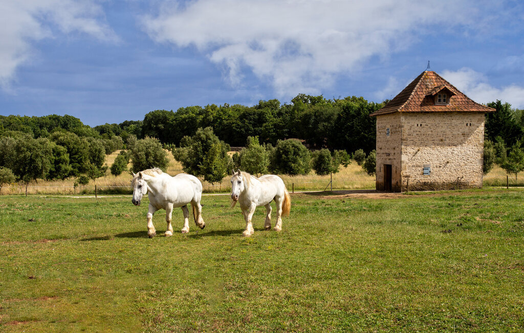 Maison 7 pers. avec piscine chauffée à Lonnes - Photo 28