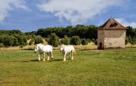 Maison 8 personnes à Lonnes - Photo 17