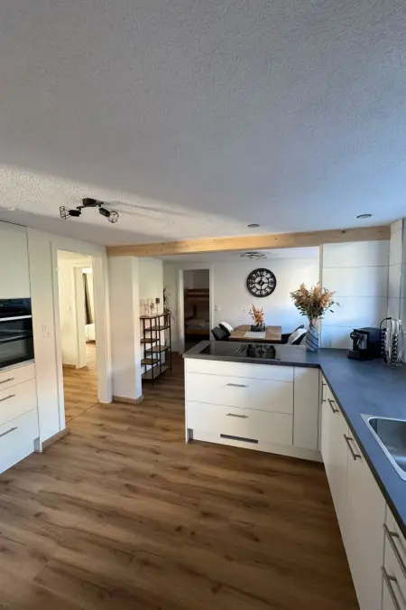 Location appartement à Frutigen, Valley Appartement