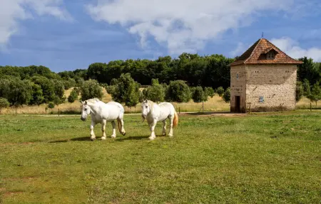 Maison 5 personnes à Lonnes - Photo 22