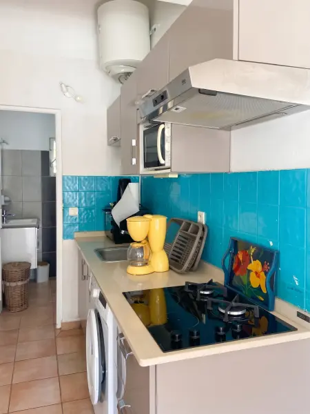 Appartement vue mer et jardin avec terrasse barbecue à Les Trois-Îlets : photo 15