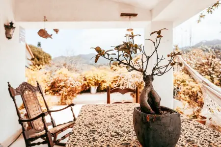 Casa da Rampa - Maison 9 pers., piscine et vues Sintra : photo 37