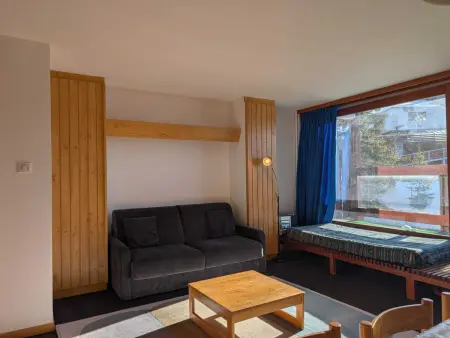 Appart 3 pièces 8 pers, balcons Sud/Nord, vue pistes : photo 9
