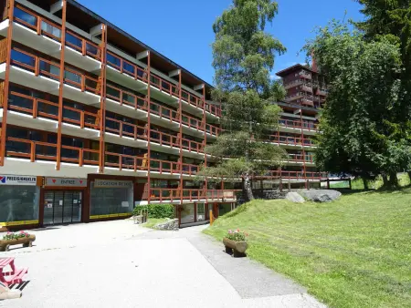 Appart 3 pièces 8 pers, balcons Sud/Nord, vue pistes : photo 11