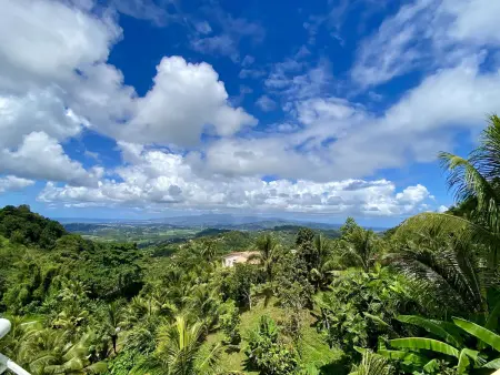 Villa Ziléa au Vauclin : 6 personnes, piscine et vue mer - Photo 13