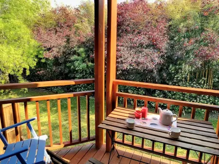 Location appartement à Messanges, Appartement lumineux à Messanges - 4 pers, animaux admis, parking