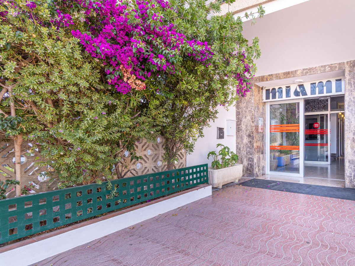 Studio en bord de mer à Empuriabrava - 3 pers, animaux admis - Photo 24
