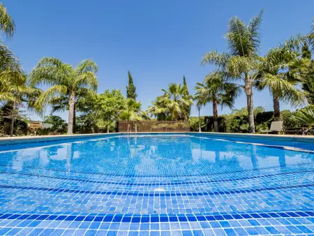 Gîte rural 6 pers. avec piscine 4x8m à Alhaurín el Grande : photo 10
