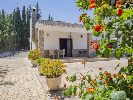 Gîte rural 6 personnes avec piscine 11x6m à Coín : photo 16