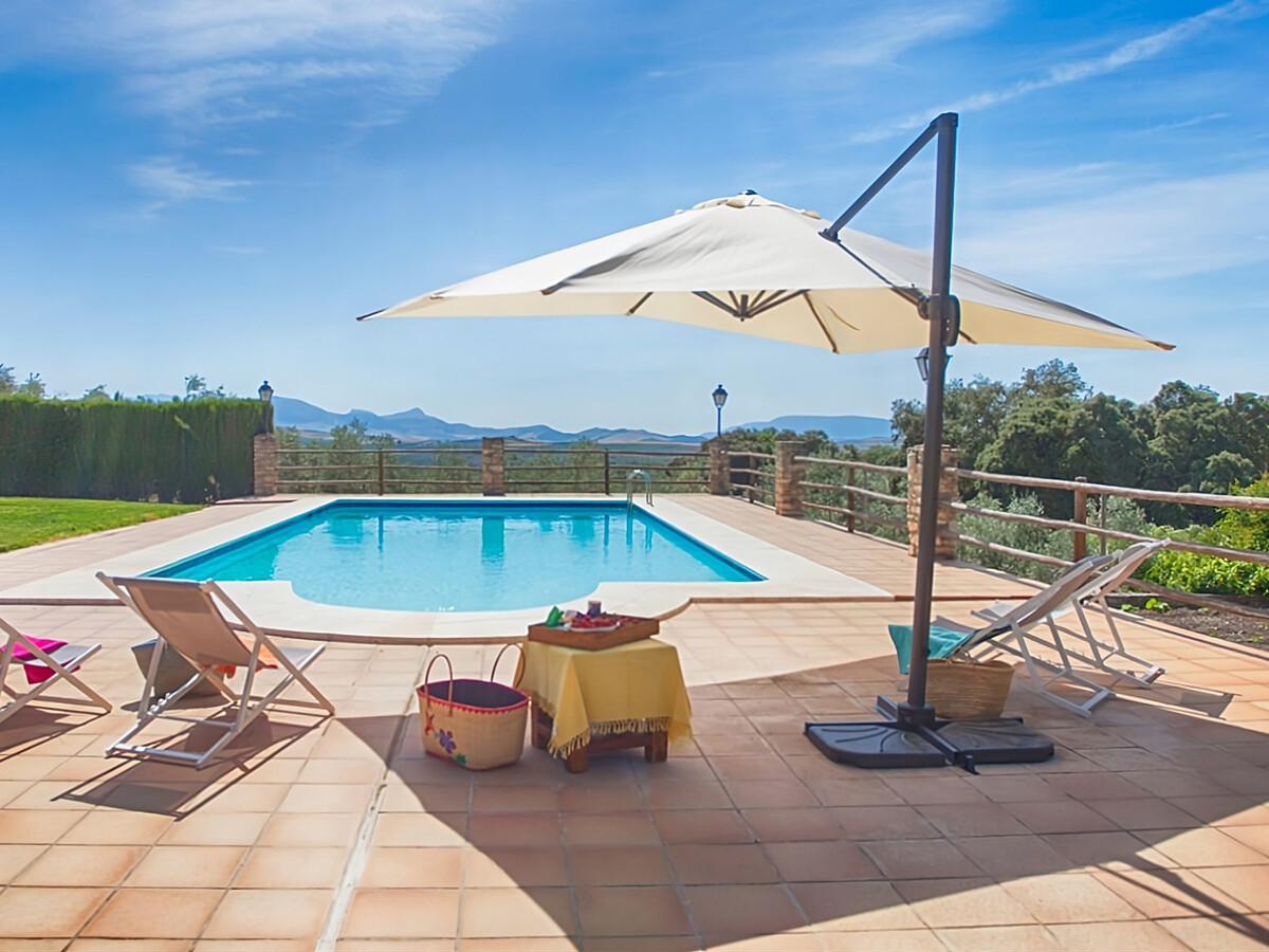 Cortijo andalou 10 pers., piscine & billard - Photo 6