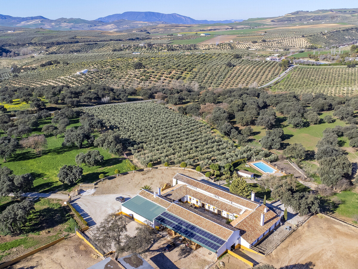 Cortijo andalou 10 pers., piscine & billard - Photo 12