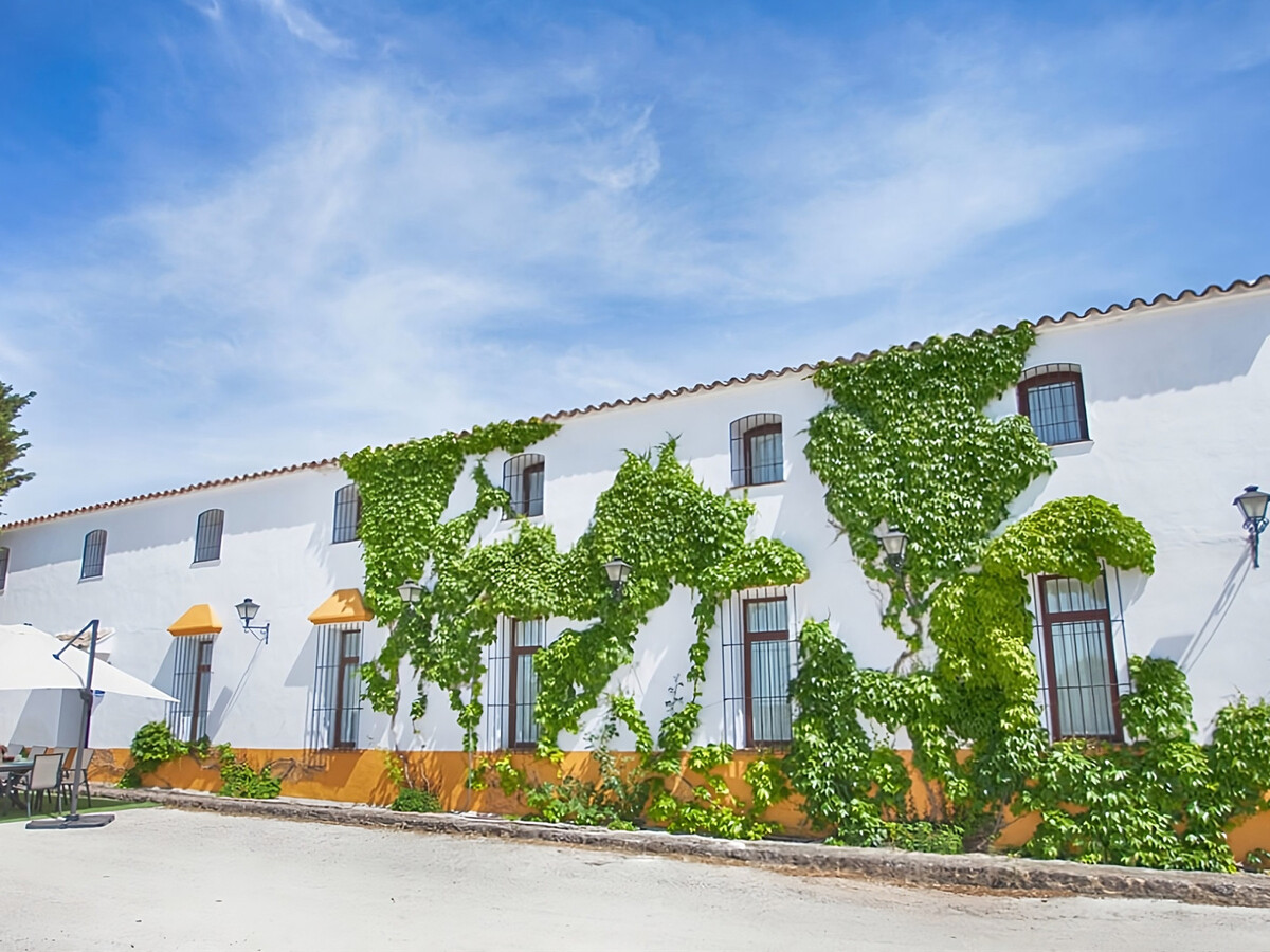 Cortijo andalou 10 pers., piscine & billard - Photo 16