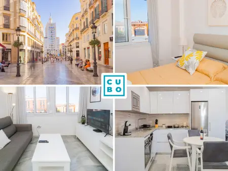 Location appartement à Málaga, Appartement central Malaga avec clim et parking en option