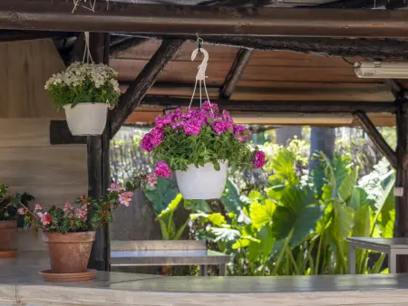 Gîte 8 personnes piscine privée à Alhaurín el Grande : photo 21