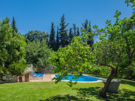 Gîte 8 pers., piscine privée et 2 ailes à Alhaurín el Grande : photo 6
