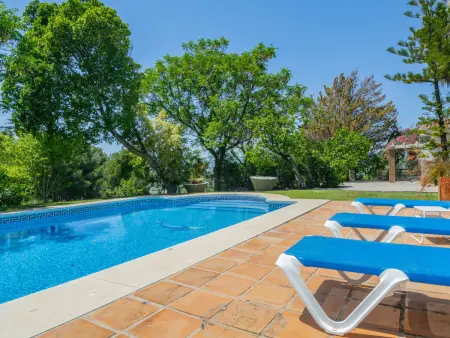 Gîte 8 pers., piscine privée et 2 ailes à Alhaurín el Grande : photo 7