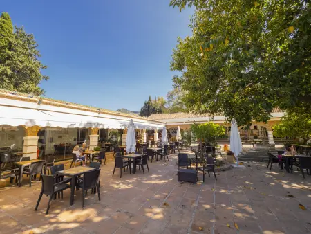 Gîte 6 personnes piscine 8x4 m à Alhaurín de la Torre : photo 12