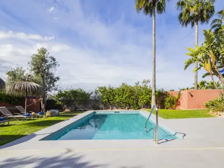 Gîte 6 personnes piscine 8x4 m à Alhaurín de la Torre : photo 13