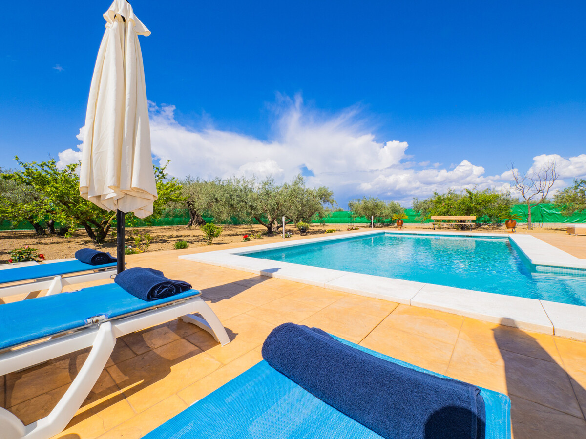Gîte 6 pers. avec piscine privée 4,5x9m à Alhaurín el Grande - Photo 6