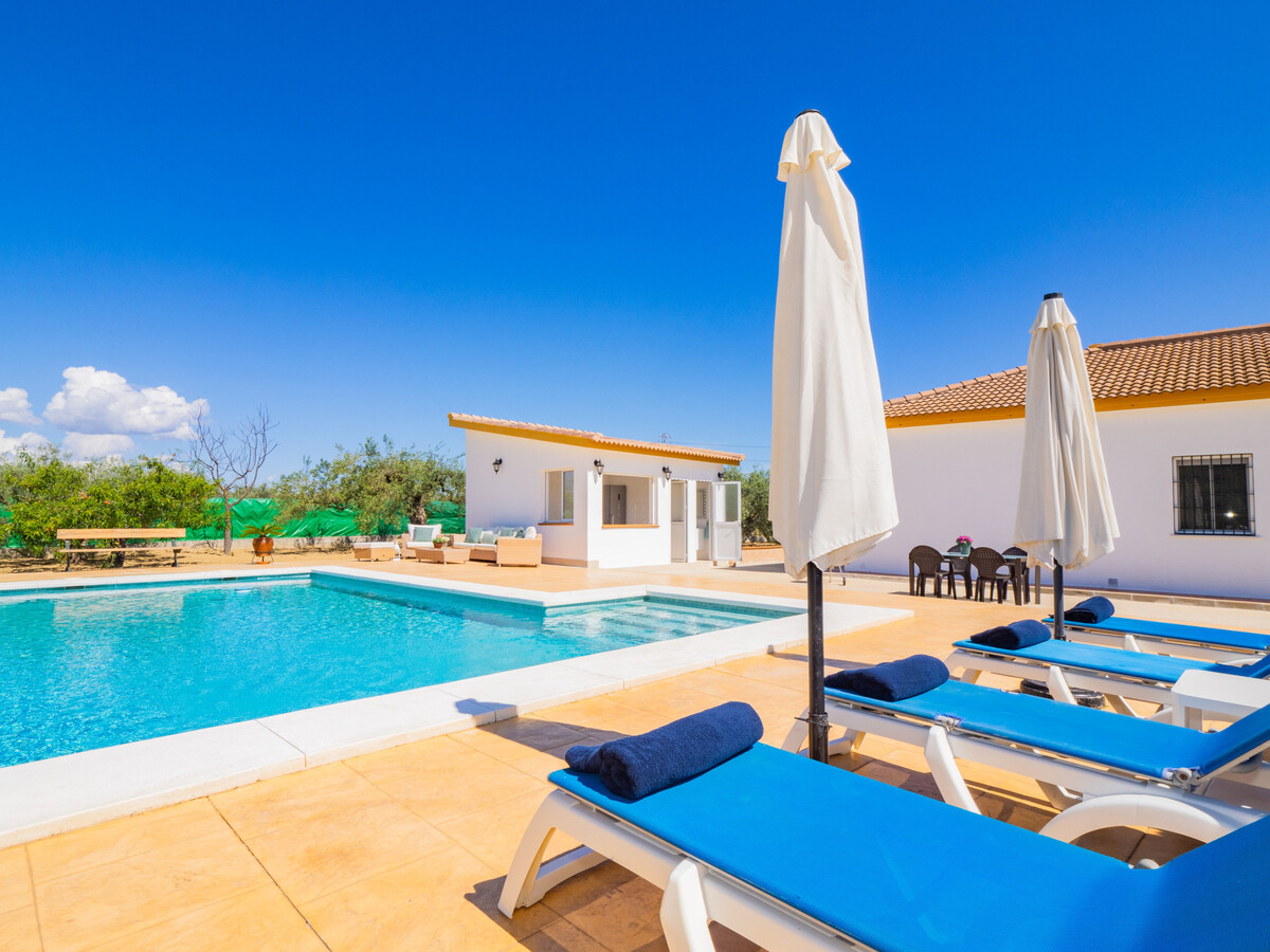 Gîte 6 pers. avec piscine privée 4,5x9m à Alhaurín el Grande - Photo 9